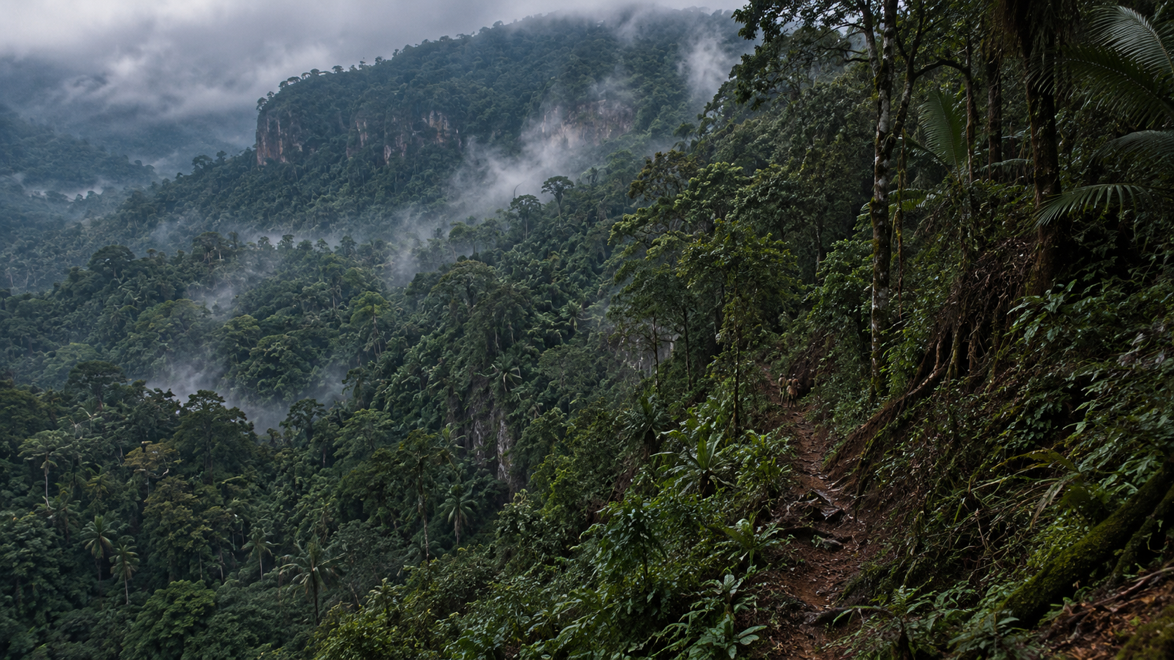 Terreno